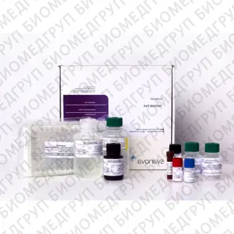 Набор реагентов SVANOVIR PRV gEAb для дифференцировки антител к вакцинным и полевым штаммам вируса Ауески у свиней методом ИФА цельные планшеты10 планшетов