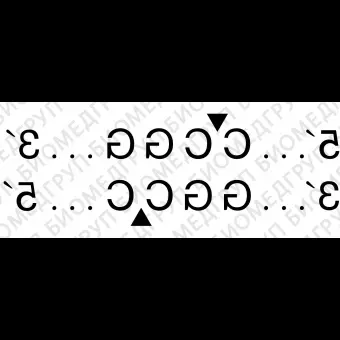 Эндонуклеаза рестрикции MspI, 20 000 ед/мл, New England Biolabs, R0106 L, 25 000 единиц