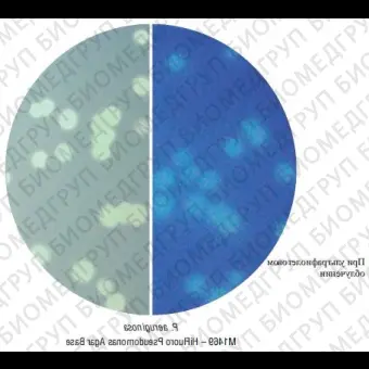 Основа ХайФлюоро агара для Pseudomonas aeruginosa 100 г ФСЗ 2009/03705