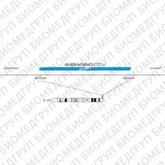 ДЛЯ КЛИЕНТОВ из США. SureFISH 9p24.3 Chr9pTel 428кб P20 BL. Теломер Chr9p, Копийный номер, 20 тестов, Аква, Концентрат, Ручное использование