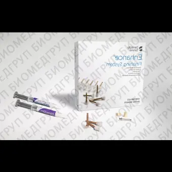 Dentsply Enhance Caulk Prisma Kit  набор для полировки композитных пломбировочных материалов