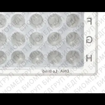 Микропластина для PCR LoBind