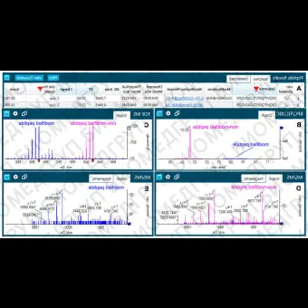 Программное обеспечение для молекулярной биологии BioPharmaView