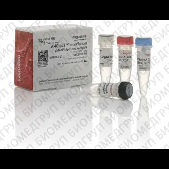 ДНКполимераза AccuPrime Taq DNA Polymerase, high fidelity, Thermo FS, 12346094, 1000 реакций