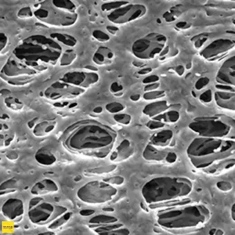 Фильтр, Экспресс, d пор 0,45 мкм, d мембраны 25 мм, 100 шт., Merck Millipore, HPWP02500