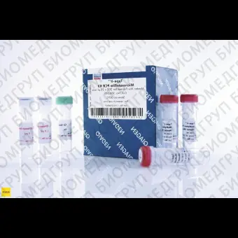 Набор для количественной ПЦР в режиме реального времени Typeit Microsatellite PCR Kit, Qiagen, 206246, 2000 реакций