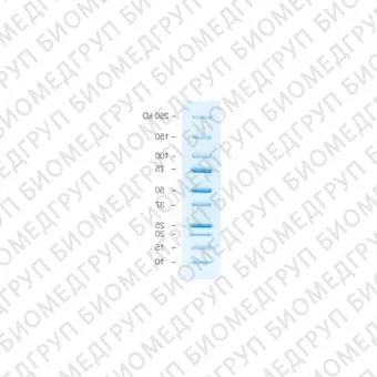 Окрашенные маркеры молекулярной массы белков Precision Plus Protein All Blue, 10250 кДа5 х 500 мкл