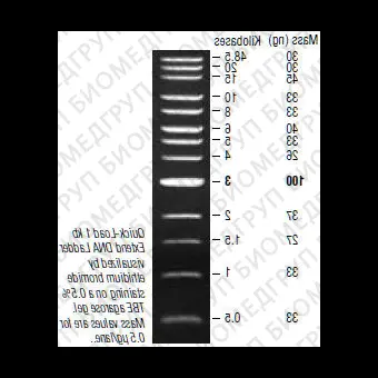 Маркер длин ДНК QuickLoad 1kb Extend DNA, 13 фрагментов от 50048500 п.н., готовый к применению 50 мкг/мл, New England Biolabs, N3239 S, 1,25 мл