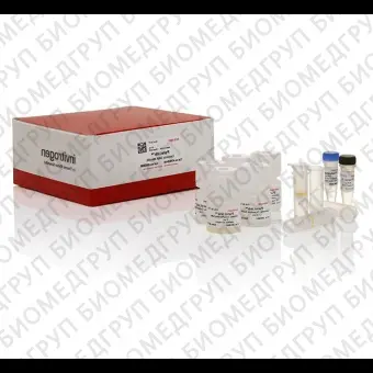 Набор для выделения ДНК, PureLink Genomic DNA Mini Kit, Thermo FS, K182002, 250 выделений