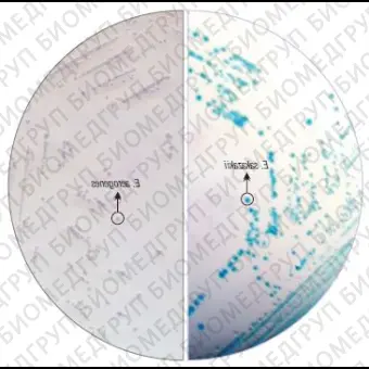 Агар HiCrome для выделения и идентификации Enterobacter sakazakii модифиц. 500 г ФСЗ 2009/03705