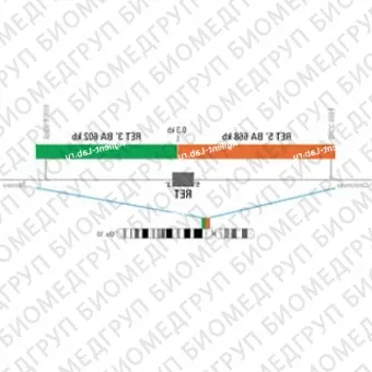 ДЛЯ КЛИЕНТОВ из США. SureFISH RET BA P5. RET, Break Apart, 5 тестов, Cy3FITC, концентрат, ручное использование