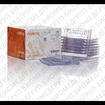 Гель полиакриламидный Bolt BisTris Mini Protein Gel, 8 х 8 см, 17 лунок, 10, Thermo FS, NW00107BOX, 10 шт./уп.