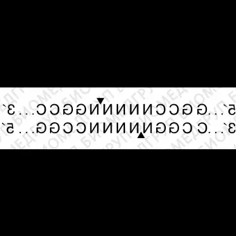 Эндонуклеаза рестрикции SfiI, 20 000 ед/мл, New England Biolabs, R0123 L, 15 000 единиц