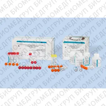 Набор АмплиСенс HBVМониторFL для количественонго определения. Нераскапанный, FRT 50F