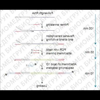 Набор для секвенирования кДНК со стадией ПЦР, PCRcDNA Sequencing Kit, Oxford Nanopore Technologies, SQKPCS109