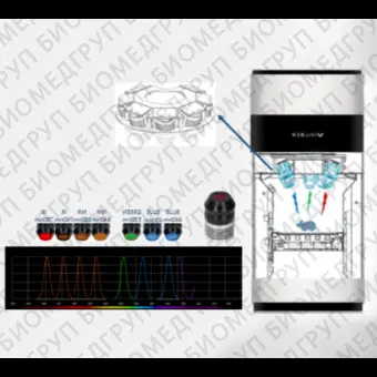 Система визуализации биолюминесценции и флуоресценции, 1211 9760 1