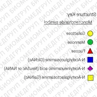 Nгликан AdvanceBio InstantQ G0F/FA2 асиало, агалакто, биантеннарный комплексный Nгликан, замещенный фукозой ранее ProZyme. Nгликан, помеченный InstantQ, для использования в качестве качественного стандарта с системой анализа гликанов GlyQ. Альте