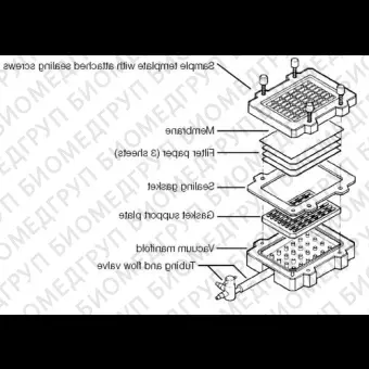 Система вакуумблоттинга BioDot, на 96 образцов, BioRad, 1706545вв