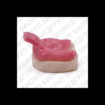 Фотополимер Harz Labs Dental Pink1 кг