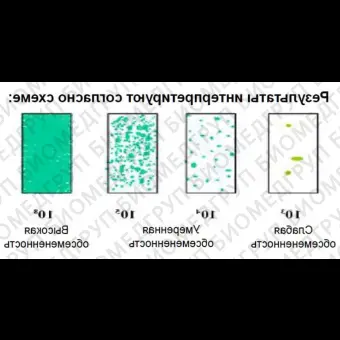 Микробиологические экспресстесты для определения КМАФАнМ ОМЧ и плесени/дрожжи, двухсторонние, DipSlides, 10 шт/уп, Thermo FS, DS0170A