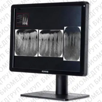 Barco Nio Color 3MP Dental Медицинский монитор