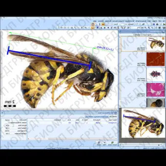 Программное обеспечение для медикобиологических наук QuickPHOTO