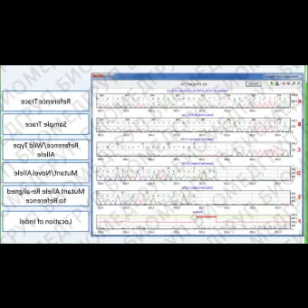 Программное обеспечение для последовательности оснований в ДНК Mutation Surveyor