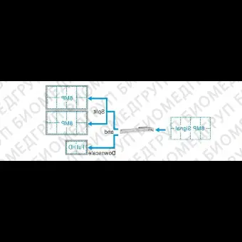 Система передачи сигналов для медицинских снимков PDS0800HD