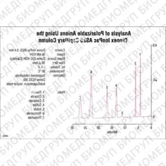 Dionex IonPac AS25 Capillary, Analytical  Guard Columns