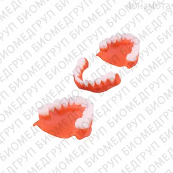 Gorky Liquid Dental Base FL SLA  фотополимерная смола для демонстрационных моделей десны, цвет розовый, 1 кг