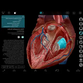 Анатомическое приложение iOS Human Anatomy Atlas