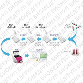 Панель для профилирования миРНК, Multiplex miRNA Assay Core Reagent Kit  Circulating crude biofluid, Abcam, ab203184, 96 тестов