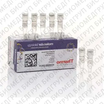 Набор для безлигазного клонирования aLICator LIC Cloning and Expression Kit 3, Thermo FS, K1261, 20 реакций