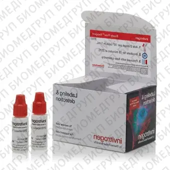 Набор SYTOX AADvanced  Ready Flow Reagent, для проточной цитометрии, 2х2,5 мл, 120 тестов, Thermo FS, R37173