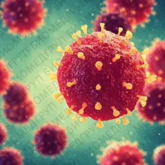 Реактив антитела HIV1, p24