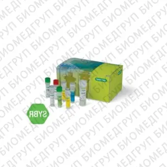 Набор SingleShot SYBR Green OneStep Kit для лизиса клеток и односталийной ОТПЦР в реальном времени с SYBR Green I100 реакций