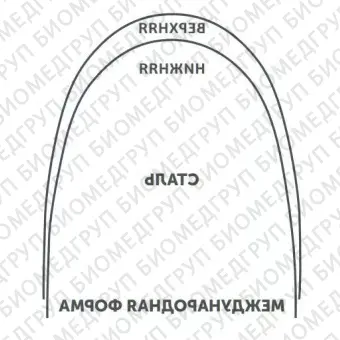 Дуги ортодонтические международная форма Нержавеющая сталь для верхней челюстиSS U .017x.025/.43x.64