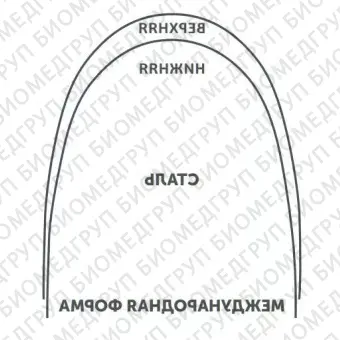 Дуги ортодонтические международная форма нижние INT Niti TA L .020/.51