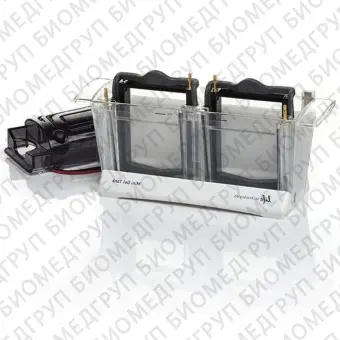 Система мокрого блоттинга Mini Gel с набором для заливки гелей  SureCast Gel, электроды в виде пластин, площадь 85х80 мм, с камерой и крышкой, Thermo FS, NW2000акция