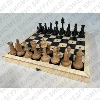 Шахматы для незрячих с деревянной доской