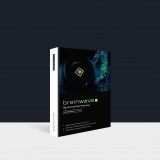 Программное обеспечение для исследований BrainWave 4