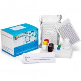 Набор реактивов в растворе IgM ELISA Assay Kit