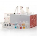 Набор PureLink Fast Low-Endotoxin Midi Plasmid Purification Kit, Thermo FS, A36227, 50 выделений