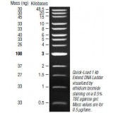 Маркер длин ДНК Quick-Load 1kb Extend DNA, 13 фрагментов от 500–48500 п.н., готовый к применению; 50 мкг/мл, New England Biolabs, N3239 S, 1,25 мл