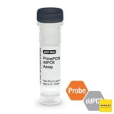 Набор IDH1 R132H мутация PrimePCR ddPCR, 200 реакций, Bio-Rad, 1863124