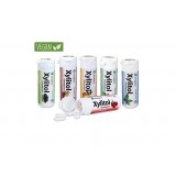 Жевательная резинка с ксилитом Xylitol Chewing Gum 30 шт, Spearmint (мята)