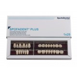 Spofadent Plus (А2) 1/37-0/5-1/62