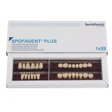 Spofadent Plus (А3,5) 1/21-0/2-1/60