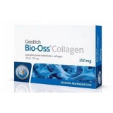 Bio-Oss Collagen 250 мг (0,4-0,5 см3)