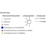 AdvanceBio 2-AB 6'-Сиалил-N-ацетиллактозамин (6'-SLN) (ранее ProZyme)